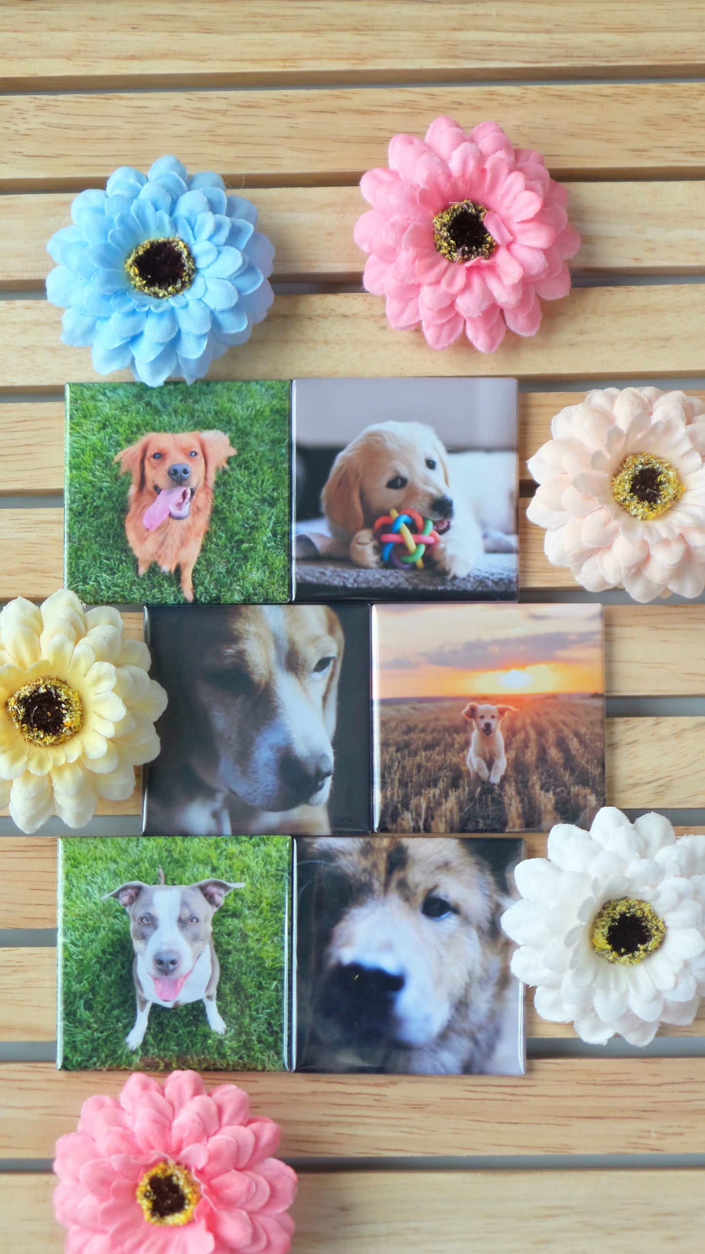 Custom Photo Magnets for 6 sets [Fridge Magnets]