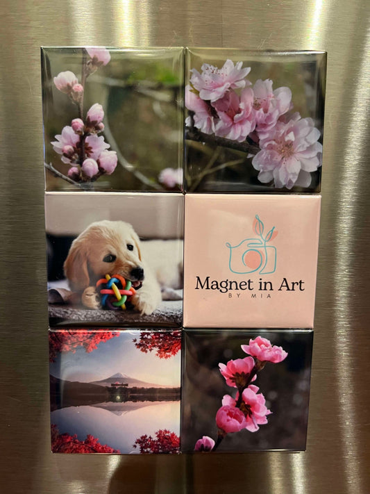 Custom Photo Magnets for 6 sets [Fridge Magnets]